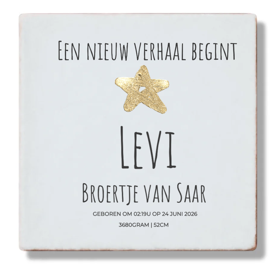 Geboortetegel Levi